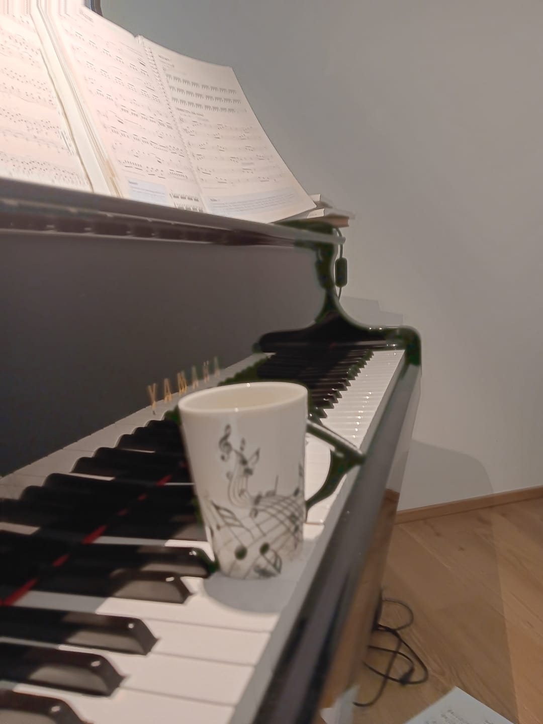 Customer photo review of Originelle Tasse – Klavier