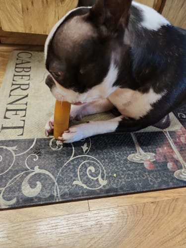 Customer photo review of PUMPKIN YAK CHEWS