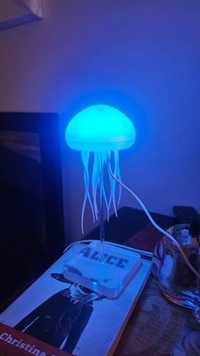 Customer photo review of LitLamp™ - Jellyfish Lamp