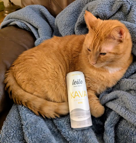 Customer photo review of Pina Colada, Sugar Free Mocktail (12-Pack)