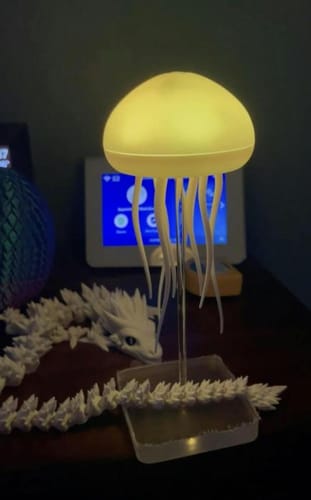 Customer photo review of LitLamp™ - Jellyfish Lamp