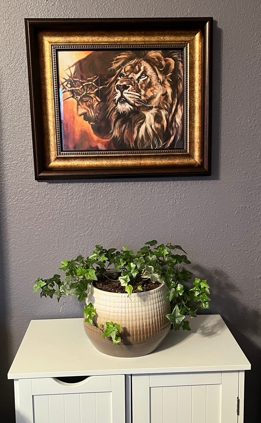 Customer photo review of King of Kings