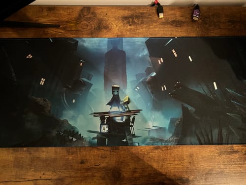 Customer photo review of iD Guardian