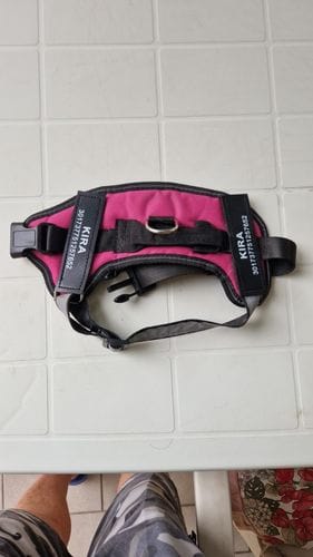 Customer photo review of Furryking™ Ultimate Personalized No Pull Dog Harness