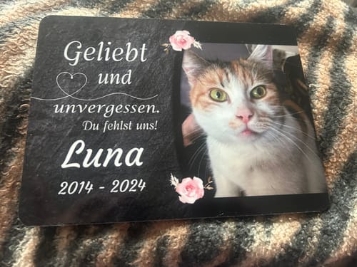 Customer photo review of Katzen Gedenktafel mit Foto & Spruch (UV- & Wetterfest)