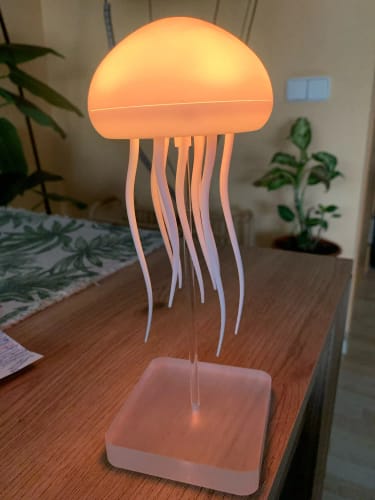 Customer photo review of LitLamp™ - Jellyfish Lamp