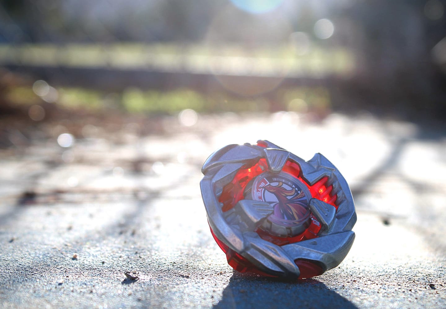 Customer photo review of Beyblade X BX-38 Crimson Garuda 4-70TP Booster