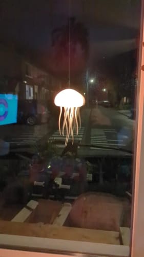 Customer photo review of LitLamp™ - Jellyfish Lamp