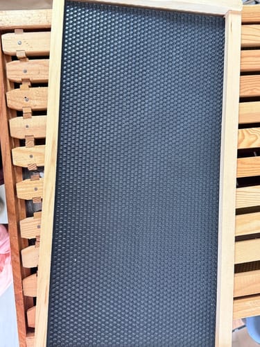 Customer photo review of MayBee Hives Unassembled 10 Frame Deep Bee Box BeesWax Coated Bee Hives Includes Pine Wood Frame, BeesWaxed Foundation Sheets