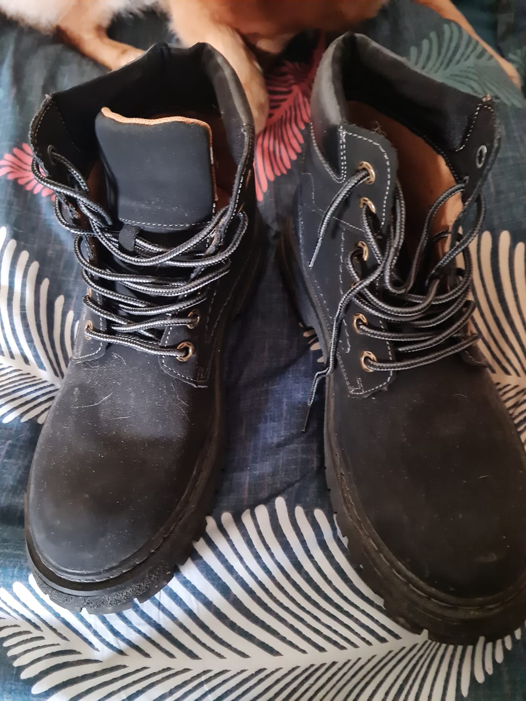 Customer photo review of מגף Black Breakstone