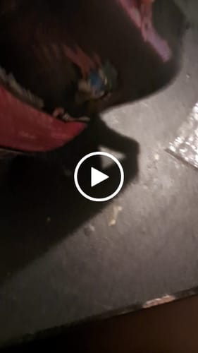 Customer video review of Magic Mushroom Gummies - 50% Off