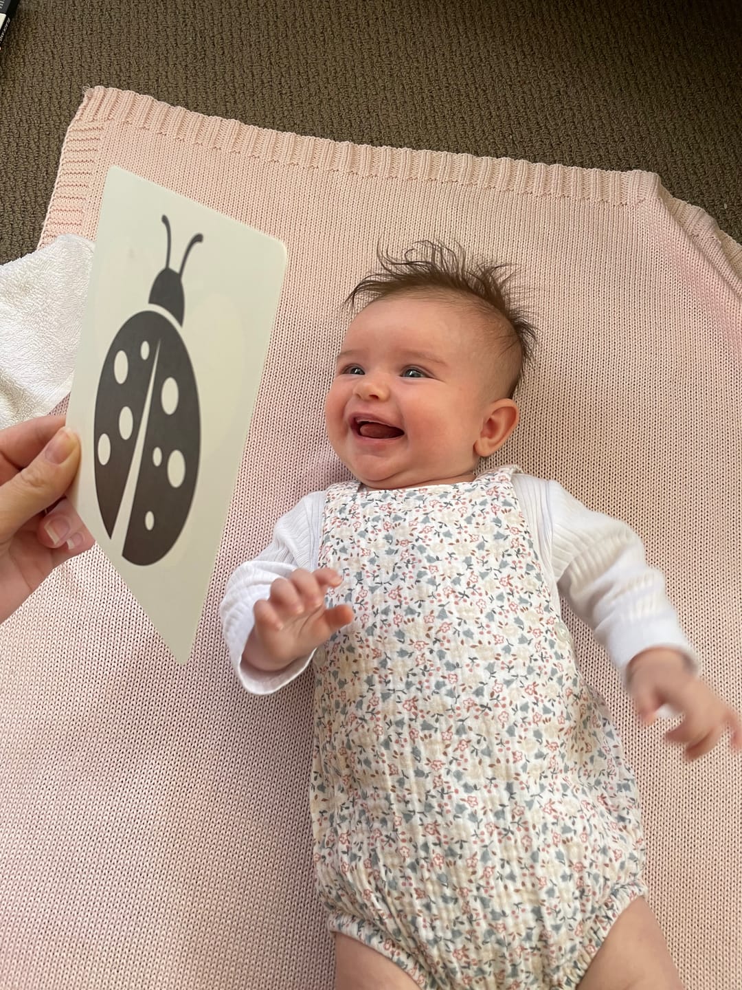 Customer photo review of Learn with Me - Baby Cards