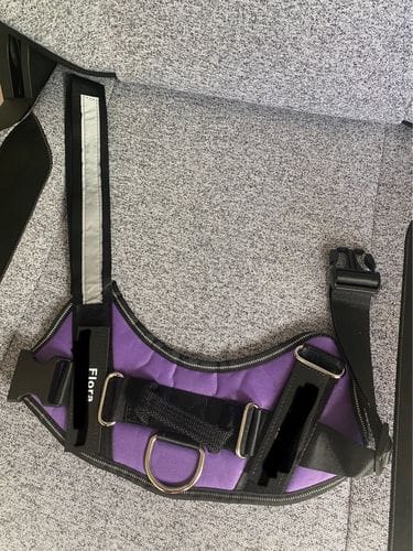 Customer photo review of Furryking™ Ultimate Personalized No Pull Dog Harness