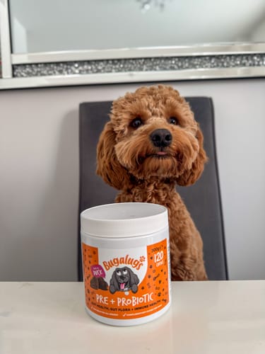 Customer photo review of Pre + Pro Biotic Supplement Chews for Dogs