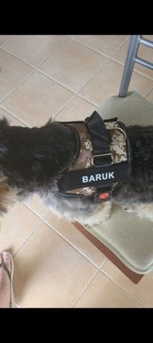 Customer photo review of Furryking™ Ultimate Personalized No Pull Dog Harness