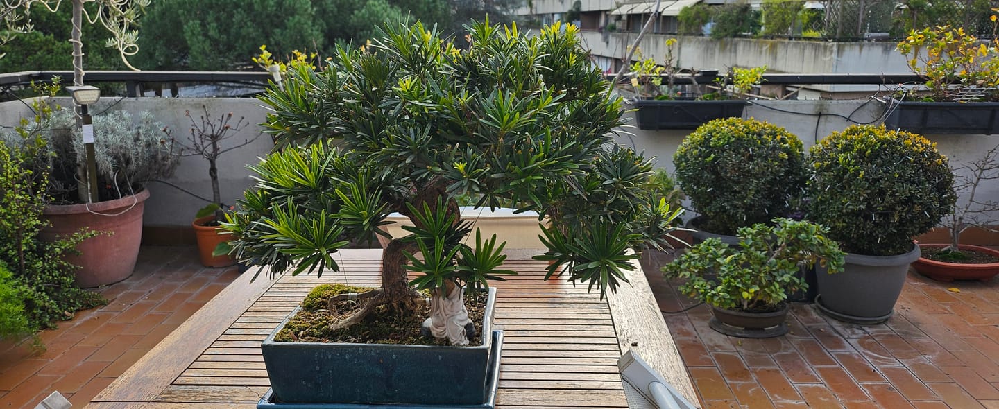 Customer photo review of BULK MASTER CB® (pompaggio estivo)