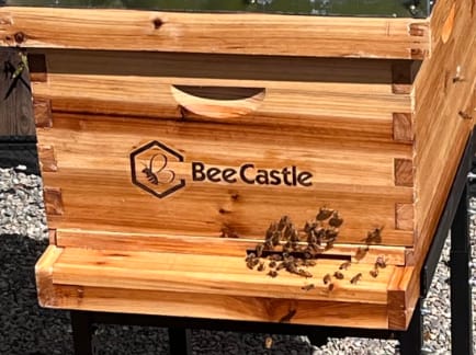 Customer photo review of BeeCastle Hives 10 Frame 4 Layer Complete Cedar Wood Beehive Kit:Designed with 2 Deep Beehive Boxes and 2 Super Bee Boxes,with Premium Wooden Frames and Beeswax Plastic Foundation