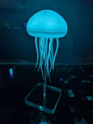 Customer photo review of LitLamp™ - Jellyfish Lamp