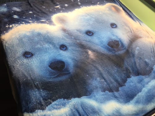 Customer photo review of Playful Polar Bear Cubs Cozy Fleece and Sherpa Blanket