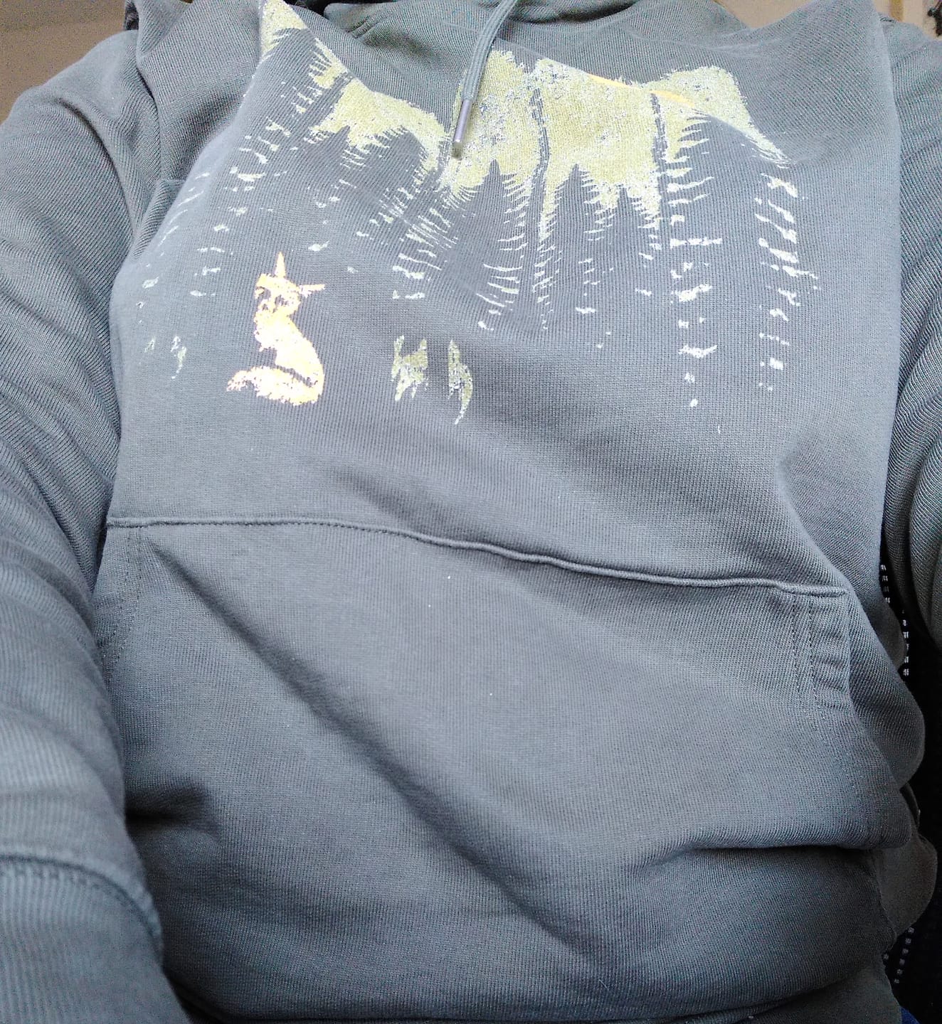 Customer photo review of FUCHS IM WALD KHAKI - Bio Unisex Hoodie (PREMIUM)
