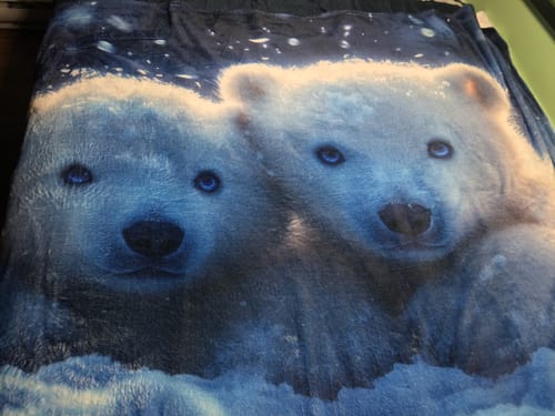 Customer photo review of Playful Polar Bear Cubs Cozy Fleece and Sherpa Blanket