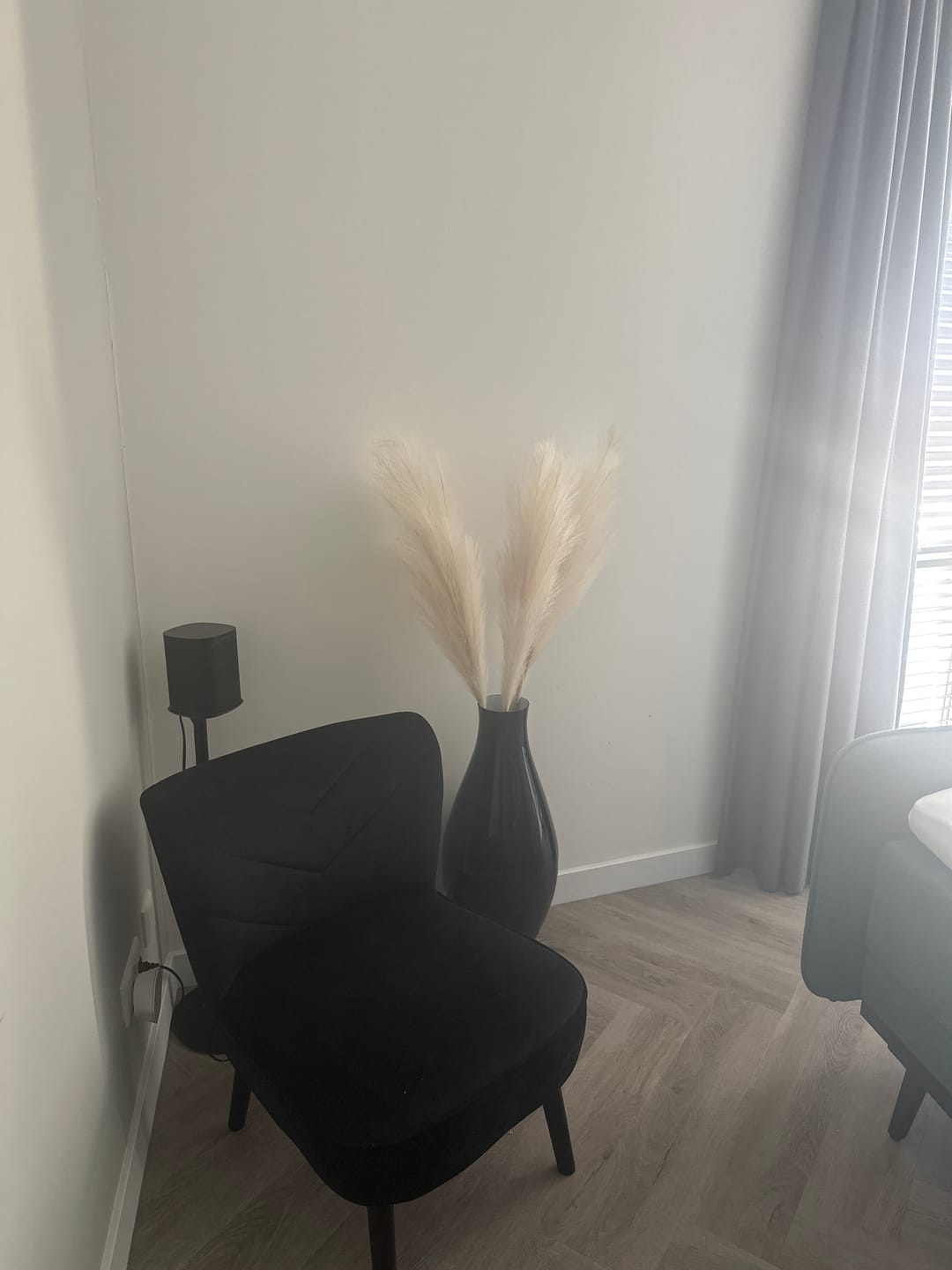 Customer photo review of Pampas 110cm (3 stengels)- Beige