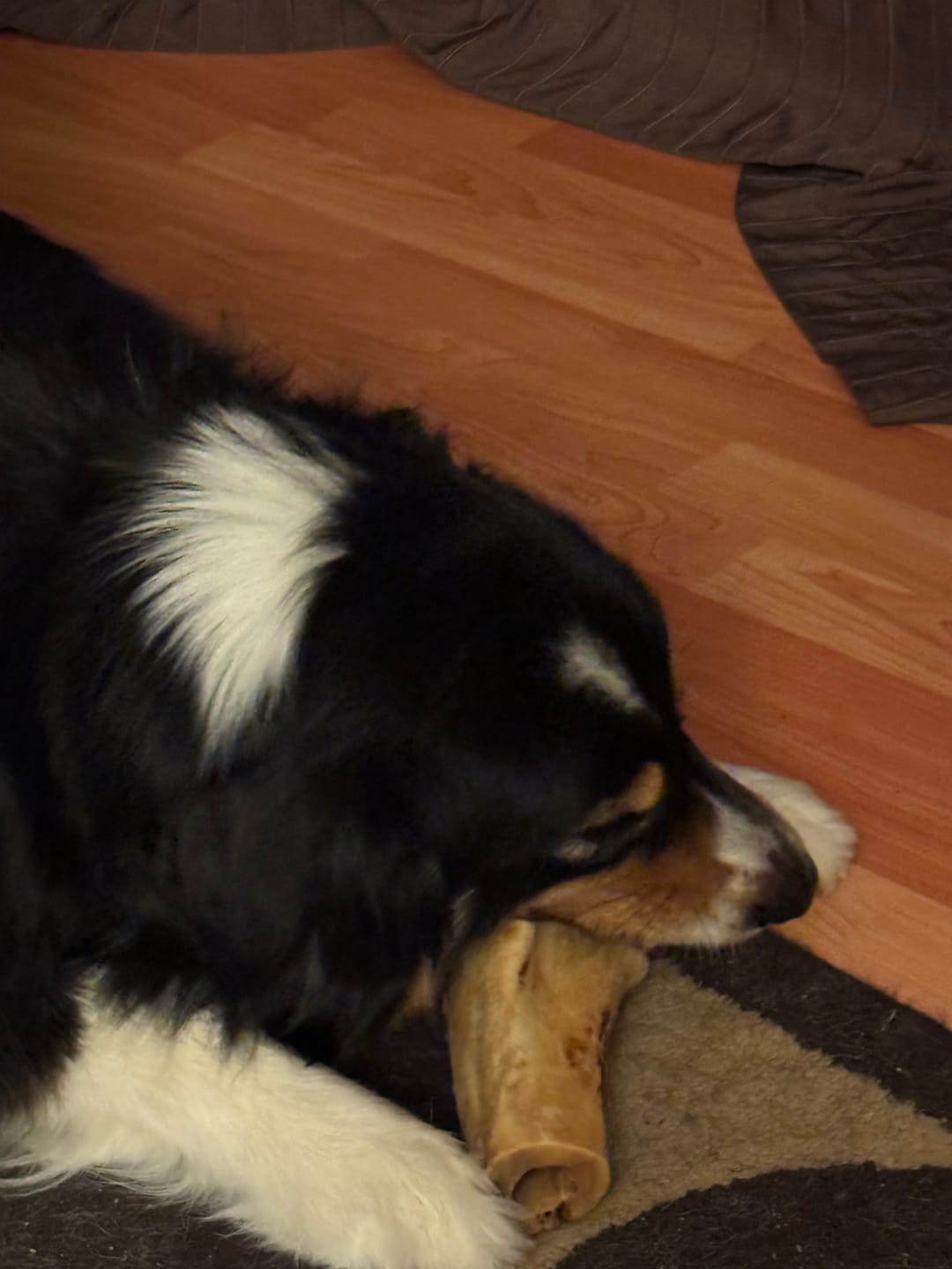 Customer photo review of 5-6 Inch Marrow Bone