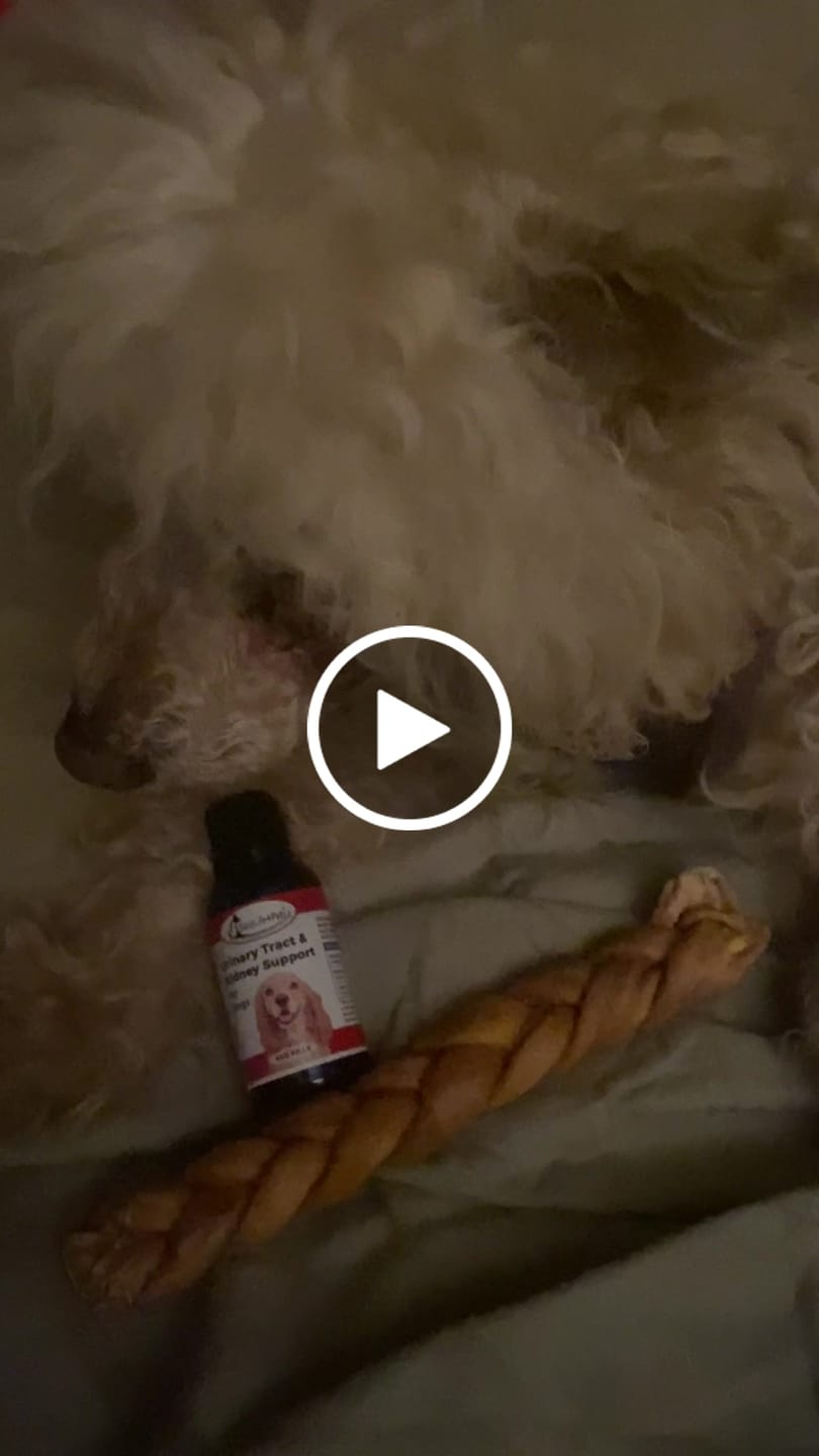 Customer video review of Dog UTI & Kidney Support Remedy