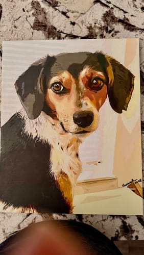 Customer photo review of Paint Your Pet by Numbers Featuring Custom Paint by Numbers Kit