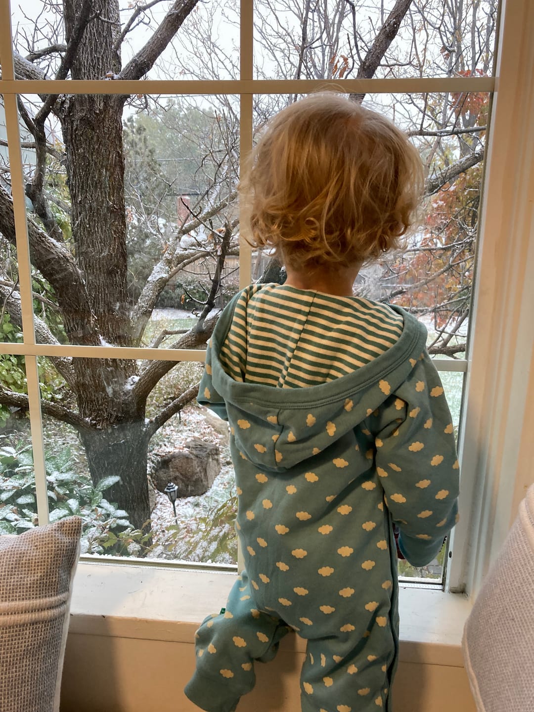 Customer photo review of Fluffy Cloud Reversible Hooded Snug As A Bug Suit