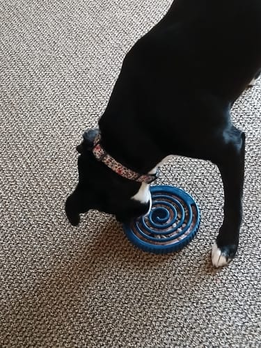 Customer photo review of FreezSwirl - Durable Stimulation Toy