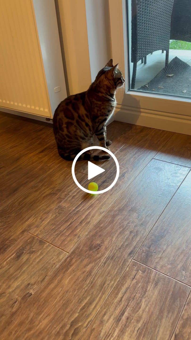 Customer video review of Power Ball 3