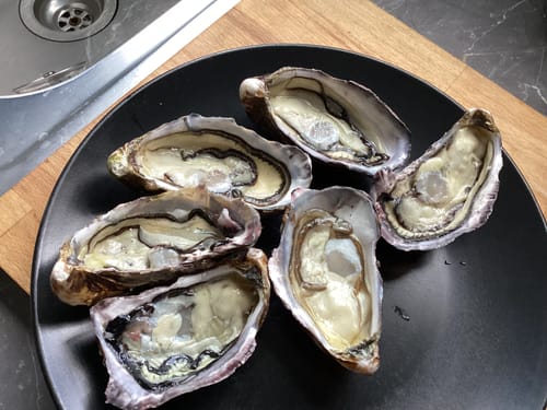 Customer photo review of Fresh NZ Oysters (Half-Shell) 6 Pieces