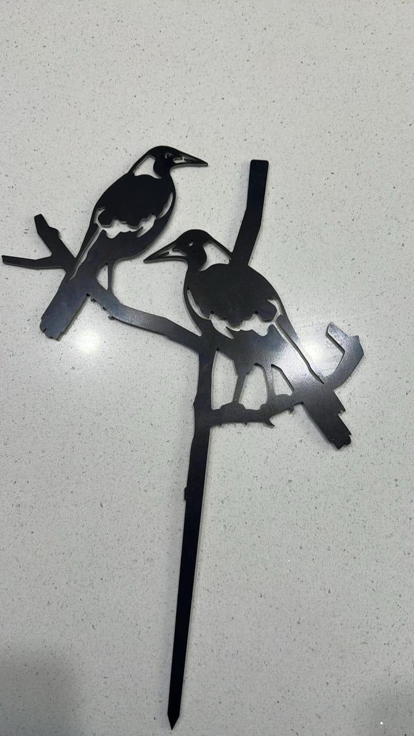 Customer photo review of Pair of Magpies