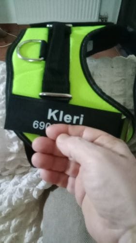 Customer photo review of Furryking™ Ultimate Personalized No Pull Dog Harness