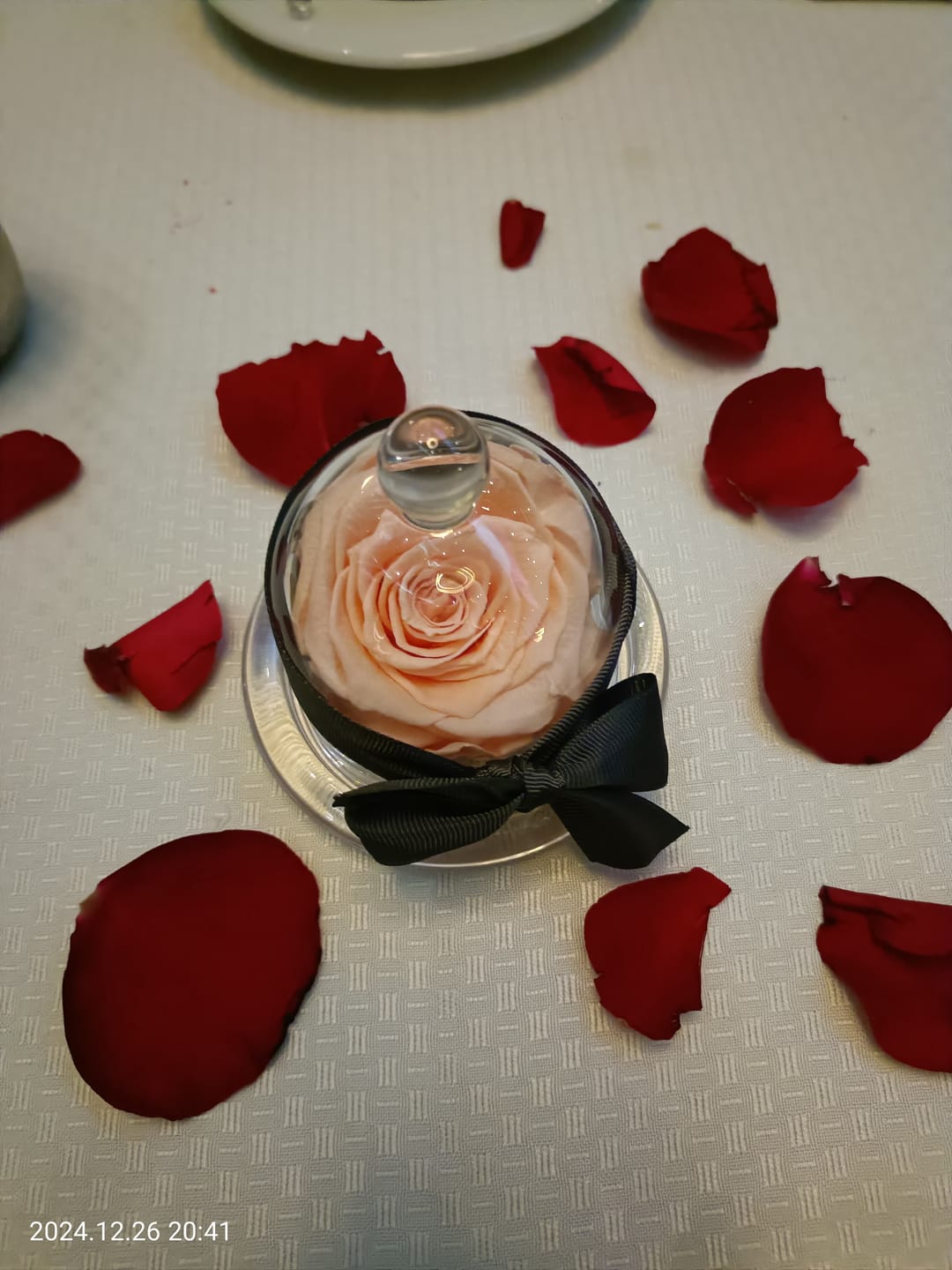 Customer photo review of Rosa Eterna Monet's con Capelo