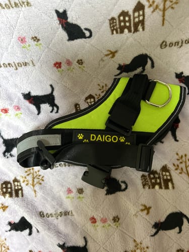 Customer photo review of FunFunPet 高機能ハーネス（お名前タグ作成サービス付き）