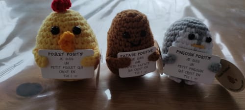 Customer photo review of POULET POSITIF