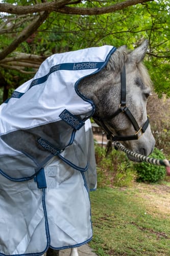 Customer photo review of LE Breeze Summer Sheet with Fieldsafe Front