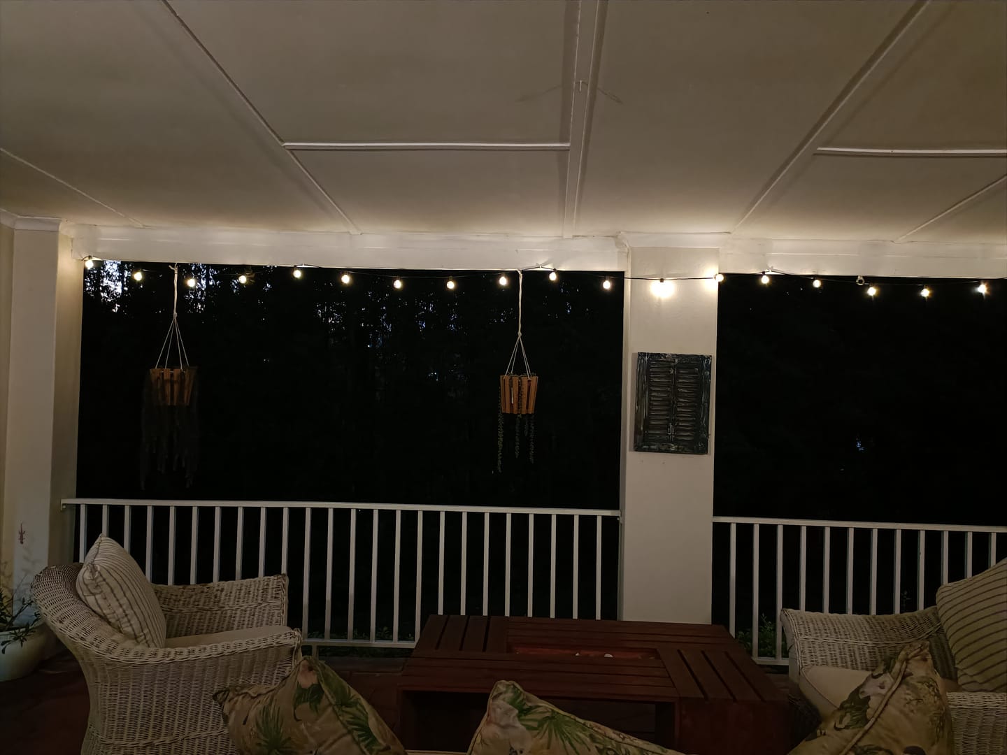 Customer photo review of Solar Mini Bulb String Lights - Black