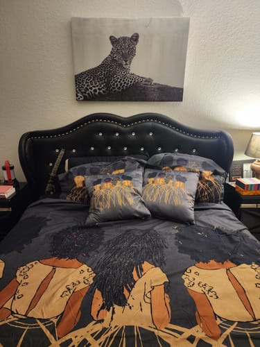 Customer photo review of Royal Decorative Pillow