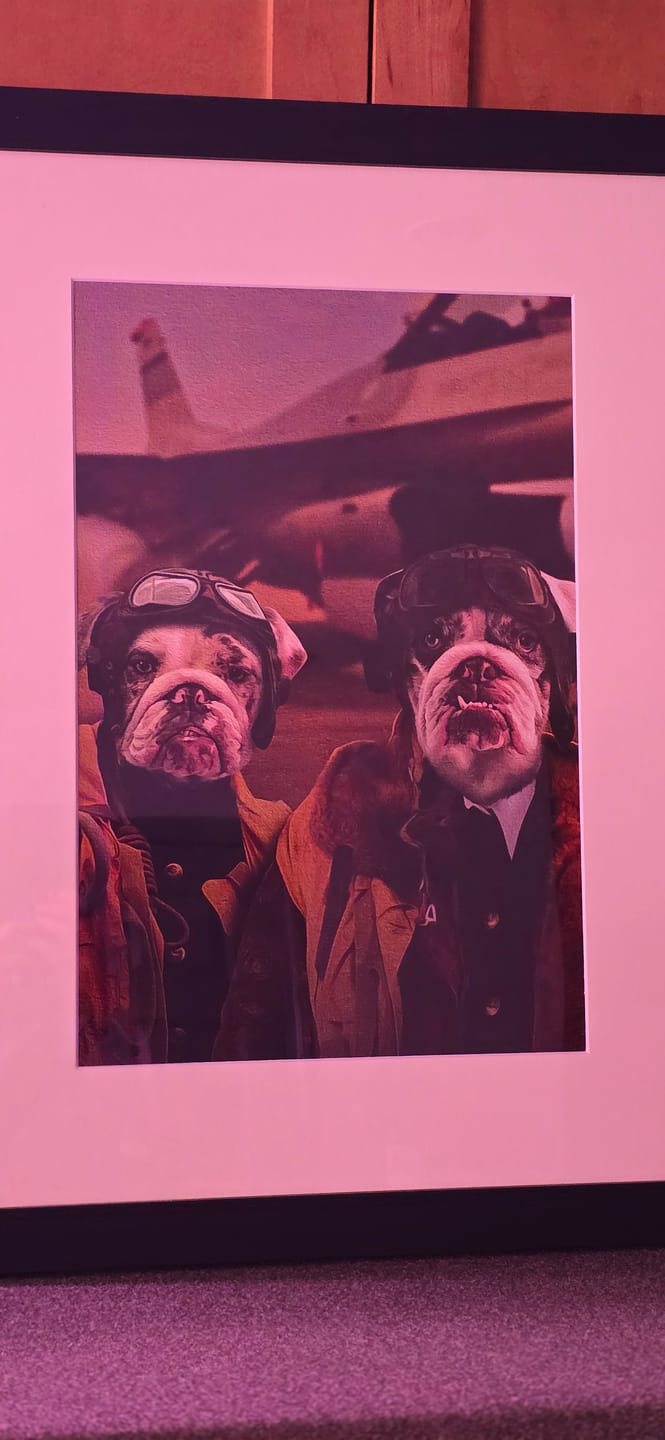 Customer photo review of The Duo Pilots Custom Pet Portrait
