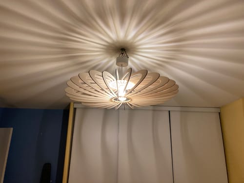 Customer photo review of Ampoule LED 12w