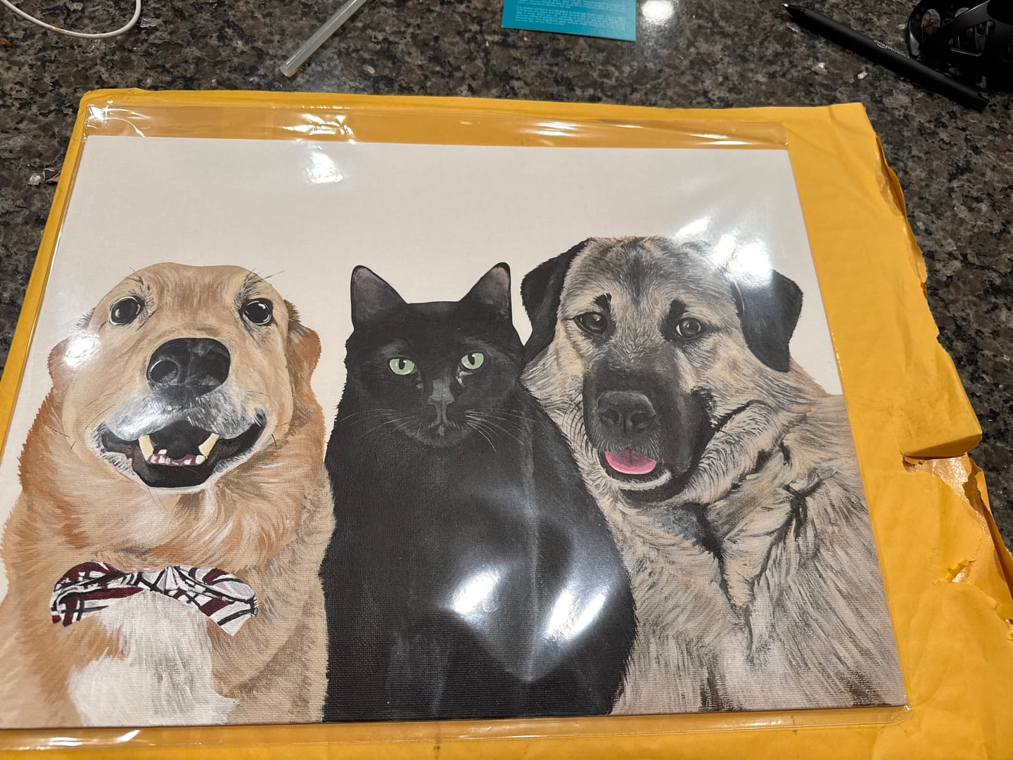 Customer photo review of Custom Pet Painting