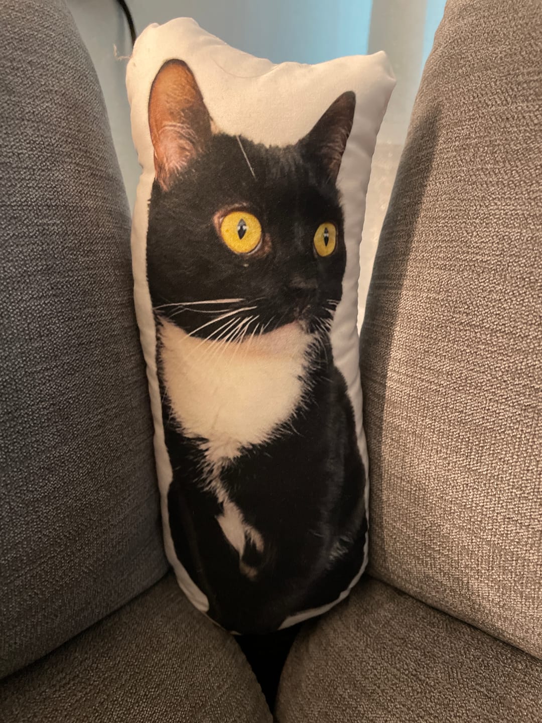 Customer photo review of Personalisiertes Katzenkissen