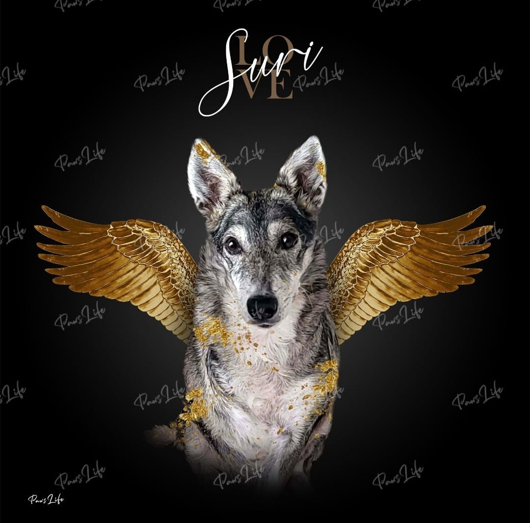Customer photo review of Personalisiertes Portrait - Goldener Engel Stil