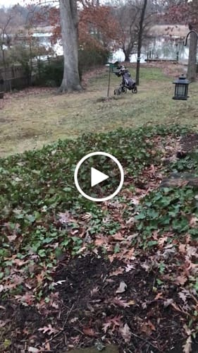 Customer video review of Cybercart