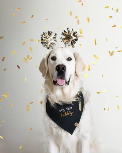 Customer photo review of Custom Saying Embroidered Bandana