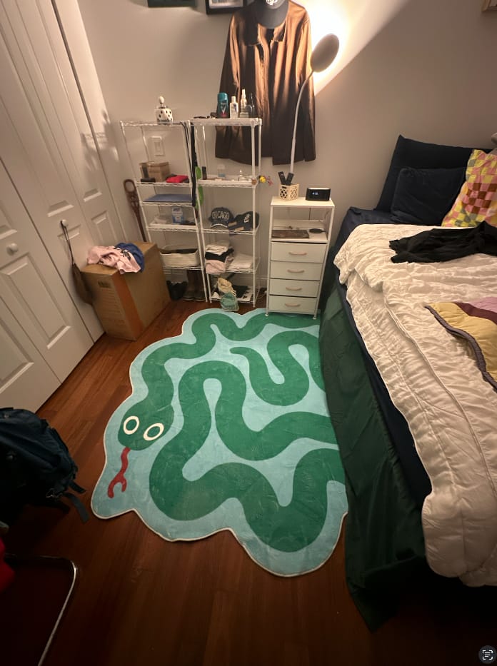 Customer photo review of Spiral Snake Design Rug by Johann Banta