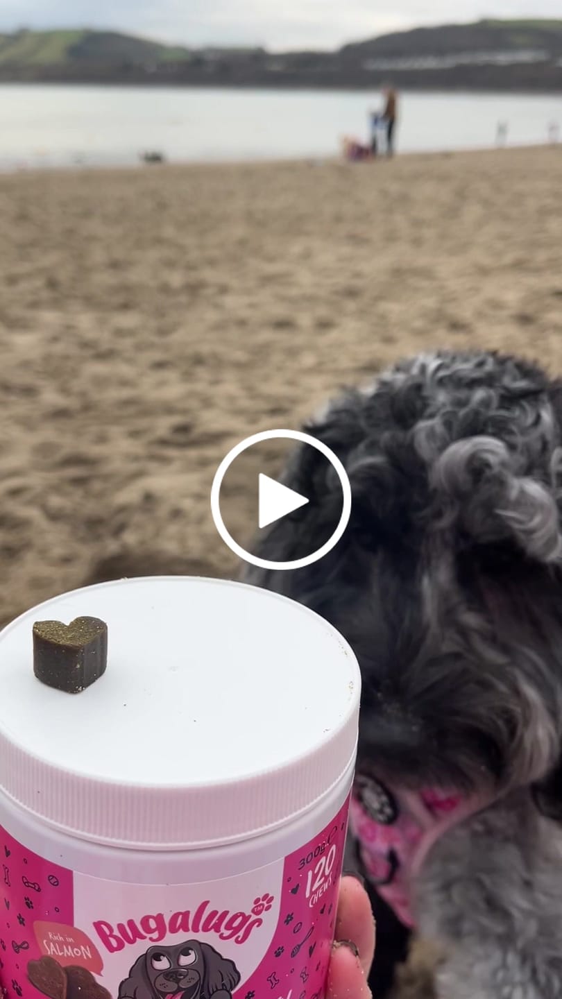 Customer video review of Calming Supplement Chews for Dogs